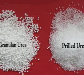 Granulan Urea