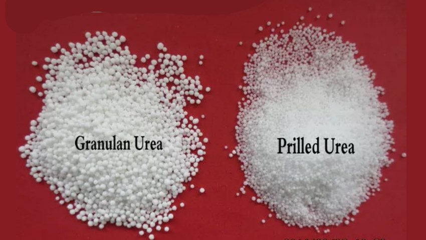 Granulan Urea